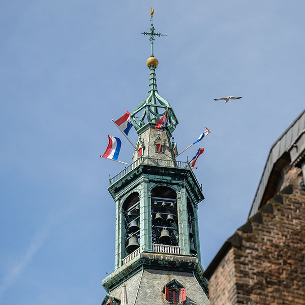 Wie wordt De Ware Haagse Jacob van het Jaar?